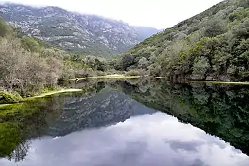 View of the lake looking upstream