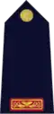 Rank insignia of Garda Inspector