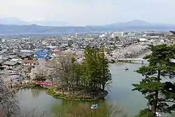 View of downtown Susaka and Garyu Park