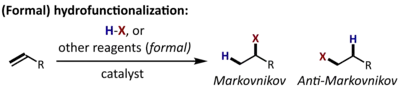 Generic hydrofunctionalization reaction.