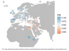 FST values showing the genetic distances between 90 ancient Egyptians and modern populations. Blue values depict higher genetic distances, red values depict lower genetic distances between the ancient Egyptian population and modern populations in the respective area.