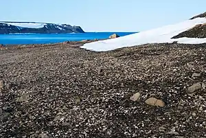 The Geographers Bay, Zemlya Georga, Franz Josef Land