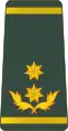 გენერალ-მაიორიGeneral-maiori(Georgian Land Forces)