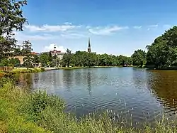 View across pond towards Martin Luther church and town hall