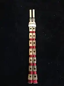 Ghoshmeh. (قشمه استخوانی "Bone ghoshmeh"). Instrument made from bird bones