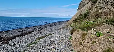 The nearby beach at Gilfach Yr Halen, looking North