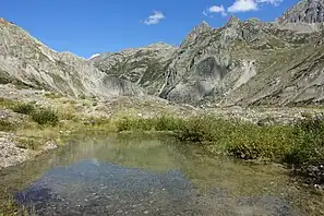 Ground moraine landscape with ponds and first bog species and amphibians