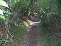 The Yuelarbah Track near Glenrock Lagoon, where the track passes through an old coal railway cutting.