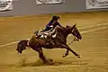 A rider on horseback races down the arena and dismounts, often while the horse is still moving