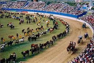 Grand Parade at the Sydney Royal Easter Show, Australia (2009)