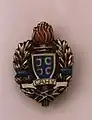 Member badge of the Serbian Academy of Sciences and Arts