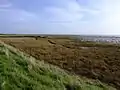 Marshland in front of the coast path behind Great Wakering New Ranges.  This area is known locally as the Black Grounds.  An old military lookout tower called 'X1' can be seen on the horizon.