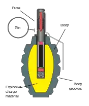 Cutaway view of a Russian F1 fragmentation grenade showing firing pin