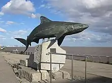 Image 18Postural configuration of a Gray Reef Shark as it displays agonistic behaviour, in a sculpture (from Shark agonistic display)