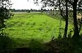 Area from which peat was cut; today pastureland. Background: Neudorf-Platendorf