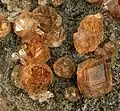 Group of Grossular crystals, largest 1.1 cm, from Val-des-Sources, Quebec