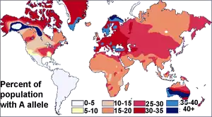 Multicolored world map