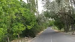 A road in Gughar Rural District