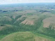 Aerial photo showing gypsy moth defoliation of hardwood trees along the Allegheny Front near Snow Shoe, Pennsylvania, in July 2007. Some of the trees had begun refoliating by the time this picture was taken.