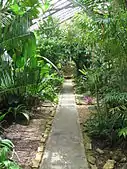 One of Hodges Gardens large, tropical greenhouses.