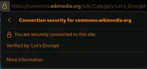 When accessing a site only with a common certificate, on the address bar of Firefox and other browsers, a "lock" sign appears.