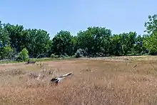 Campsite of Fort Laramie Mounted riflemen 1851