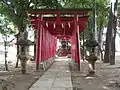 Torii gates in the precincts of Hanazono Jinja