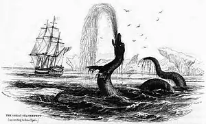 "Great Sea Serpent" according to Hans Egede