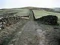 Harber Scar Lane which carries the Ribble Way northwards out of Horton-in-Ribblesdale