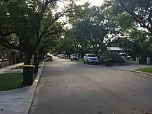 tree lined residential street