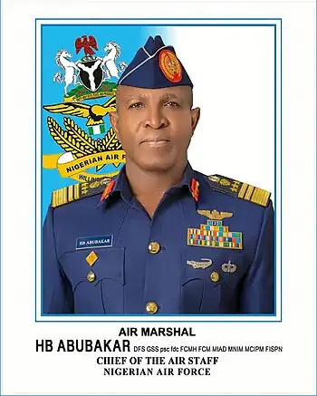 A portrait of Air Marshal Hasan Abubakar