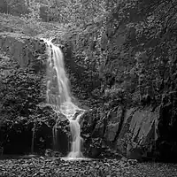 Hemlock Falls is a dramatic feature