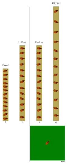 A diagram showing amount of m² per 13 hens for different levels: from 3 (left) to 0 (right).