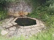 A hexagonal pool surreounded by flagstones continuing the hexagonal design. There is a wall behind this structure (the Royal Canal towpath  runs beside this structure and above it by perhaps 2.5 metres. )