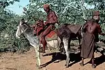 Male Himba herders