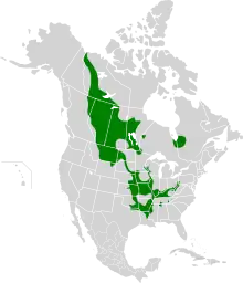 Map of North America with shading indicating species' distribution in parts of the central United States into parts of Canada