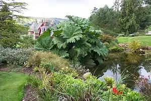 A water feature at Holehird Garden with a partial view of the house in the background