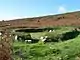 Holyhead Mountain Hut Circles.