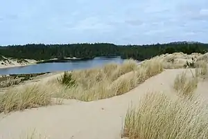 Cleawox Lake, Jessie M. Honeyman Memorial State Park, Oregon Dunes National Recreation Area.