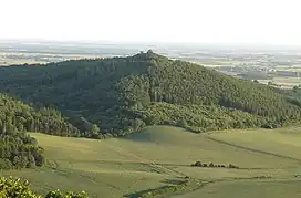 A small peak surrounded by fields and pine trees