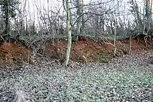 Excavated face of ironstone quarry.