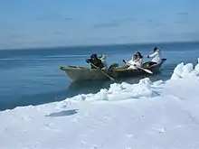 Paddling an umiak