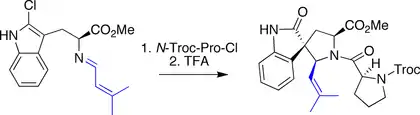 Horne spirotryprostatin B synthesis