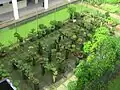 The iconic Bonsai Garden of Hua Yi Secondary School.