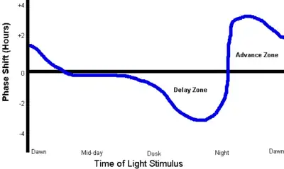 A typical Human Light PRC