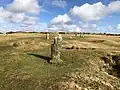 Hurlers Stones Minions near Sharptor