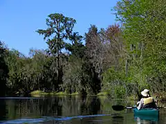 Hurrah Lake on the Alafia River