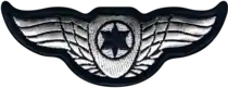 Current badge "wings" of an Israeli Air Force pilot, weapon systems officer, navigator and flight engineer