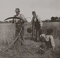 Traditional barley harvest by hand with scythes, England, c. 1886.Photo Peter Henry Emerson