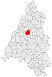 Location in Bihor County